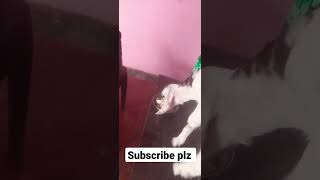 Tum Lar Hum Hain Subscribe Plz