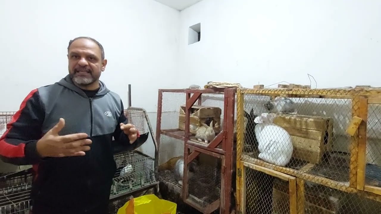 كل ما تود معرفته لتبدأ بتربيه الارانب