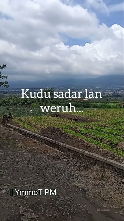 story wa 30 detik bahasa jawa terbaru || sadar posisi #shorts