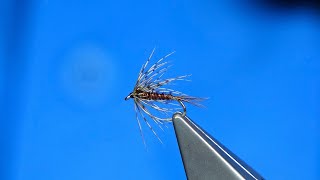 Tying an Endrick Spider (Soft Hackle WetFly) with Davie McPhail screenshot 1