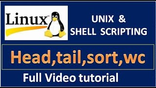 Linux head tail more vi sort wc commands