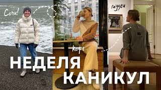 Тихий зимний влог: Петербург, Сочи, сериалы, книги, кофейни и уход за кожей