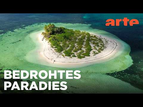 Seychellen - Archipel der Smaragde | ARTE Fernweh
