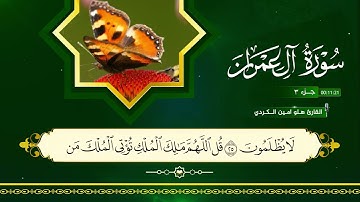 القران الكريم ٣ سورة ال عمران بصوت القارئ هلو امين الكردي 2025