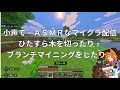 【ASMR】小声でASMRな雑談マイクラ【配信】