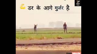 Gujjar Raj 💥 Attitude whatapp status Gujjar king 2021 new status 🔥 screenshot 2