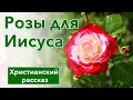 🔴 Розы для Иисуса - ИНТЕРЕСНЫЙ ХРИСТИАНСКИЙ РАССКАЗ | Христианские рассказы