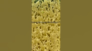 close up objects quiz#shorts  macro funny video