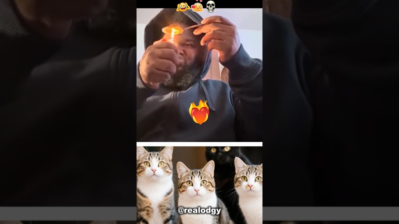 When You Hit Rock Bottom 💀🖤