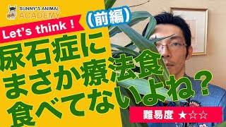 【Let's think !】尿石症にまさか療法食食べてないよね？前編/サニーズアニマルクリニック