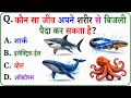 GK Question || GK In Hindi || GK Question and Answer || GK Quiz || Quiz Spy