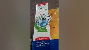 Code-a-pillar review (intro)