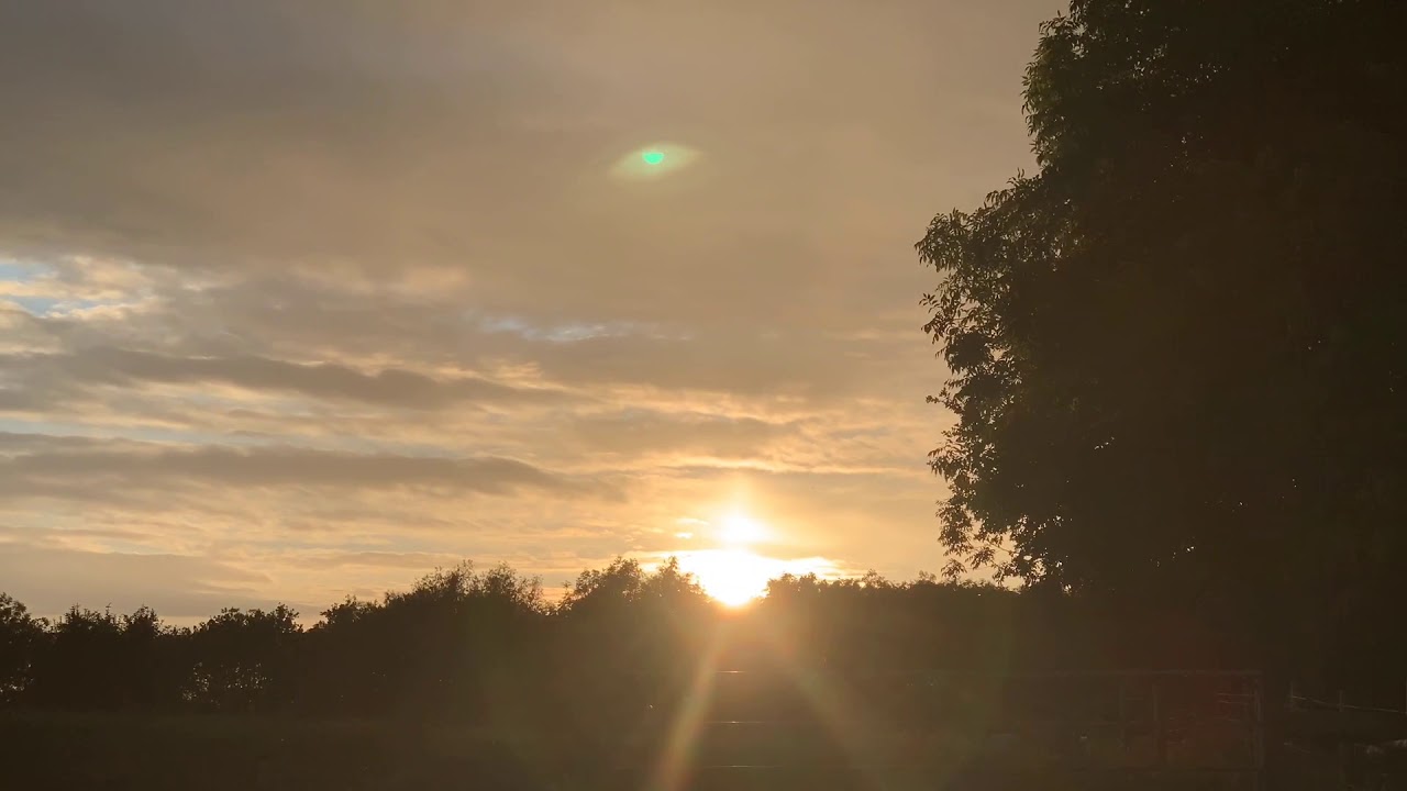 Assista a Ariel - Earth Tree Healing no YouTube Assista a Ariel - Earth Tree Healing no YouTube