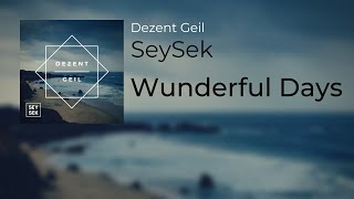 Video voorbeeld van "Wunderful Days | SeySek"