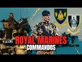 The Royal Marines’ Essential Units Explained