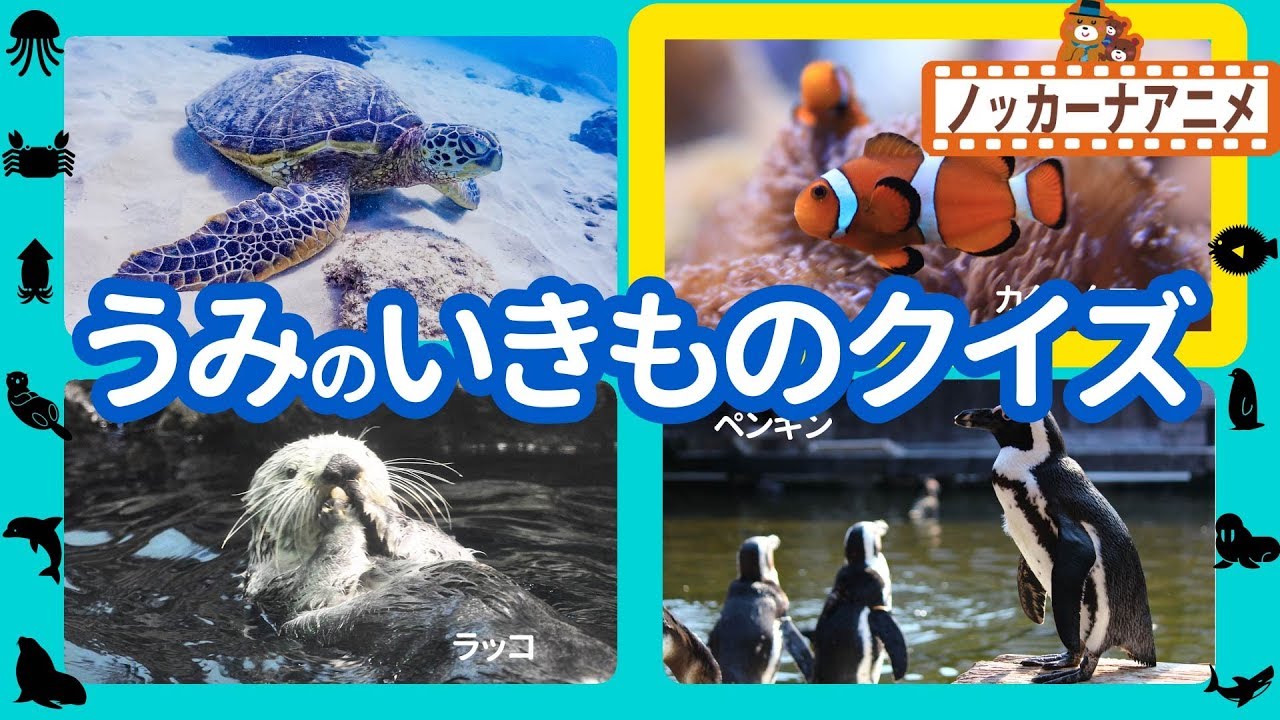 海の生き物 クイズ 水族館 子供向けアニメ 赤ちゃん 幼児向け知育動画 Aquarium Sea Creatures Animation For Kids Youtube