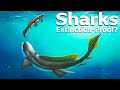 How Did Sharks Survive So Many Mass Extinctions?