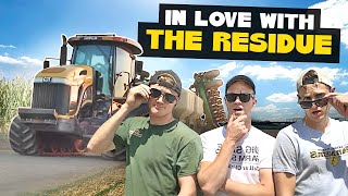 Residue (Shape of You Parody)