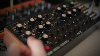 Gipnozer | Moog DFAM | Percussive Bass Micro Jam - Part 1