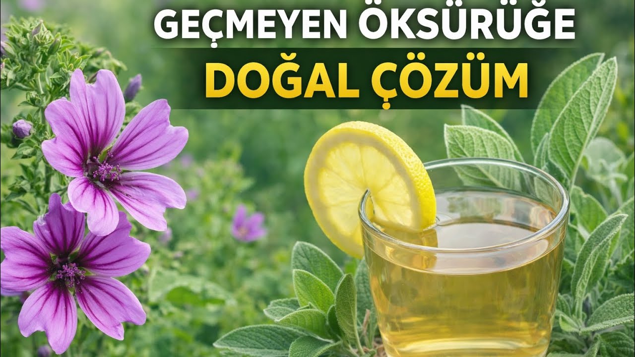 İLAÇLARLA GEÇEMYEN ÖKSÜRÜĞÜN VARSA MUTLAKA DENE 