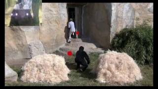 Movie S1 Exp1 | Krupenye-Kano2016-Science