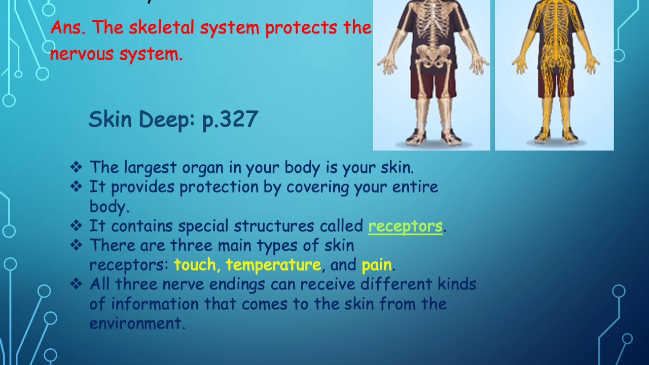 Grade 4 Science: Chapter 5 Lesson 3 - YouTube