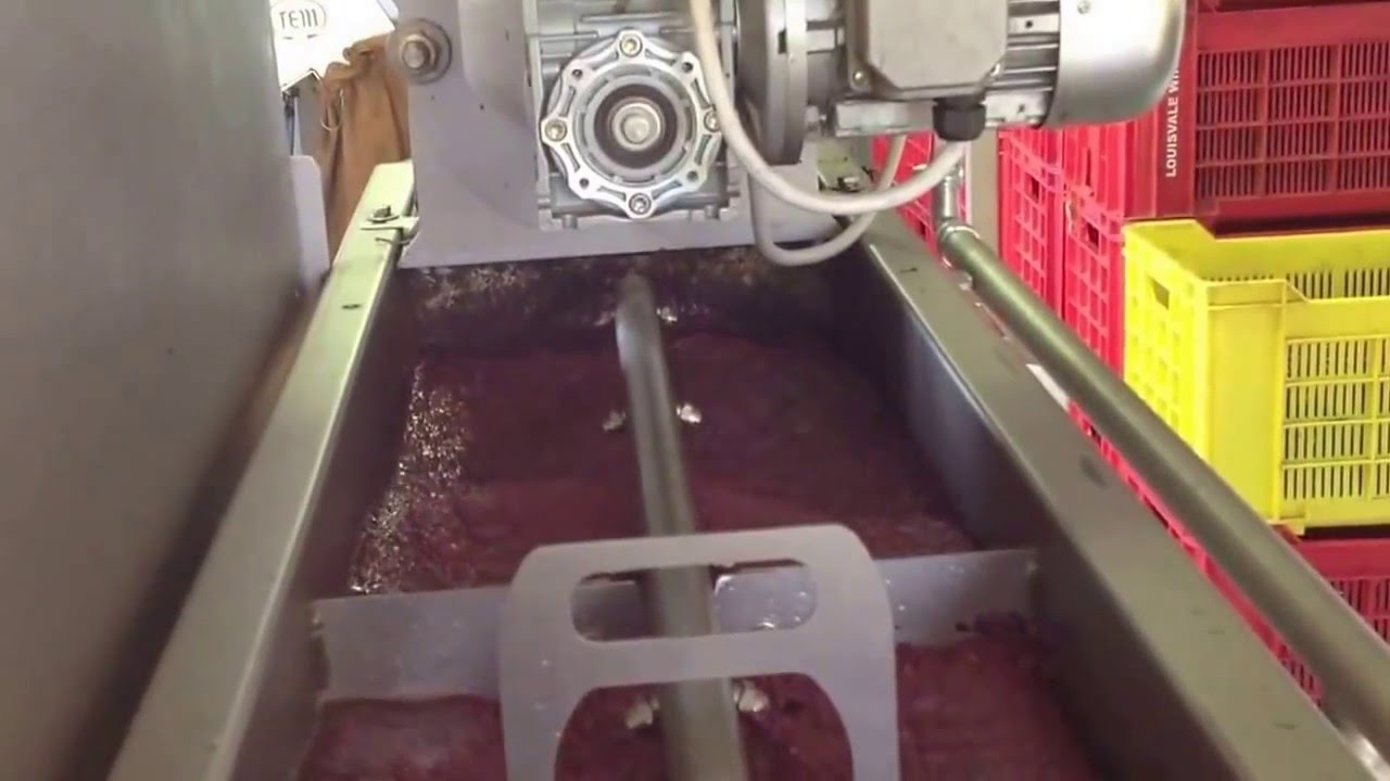 Διφασικό ελαιοτριβείο μικρών παραγωγών TEM Oliomio Gold