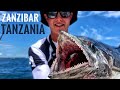 Deep Sea Fishing - Zanzibar Tanzania🇹🇿(King Mackerel, Barracuda, Trevally and Sailfish)