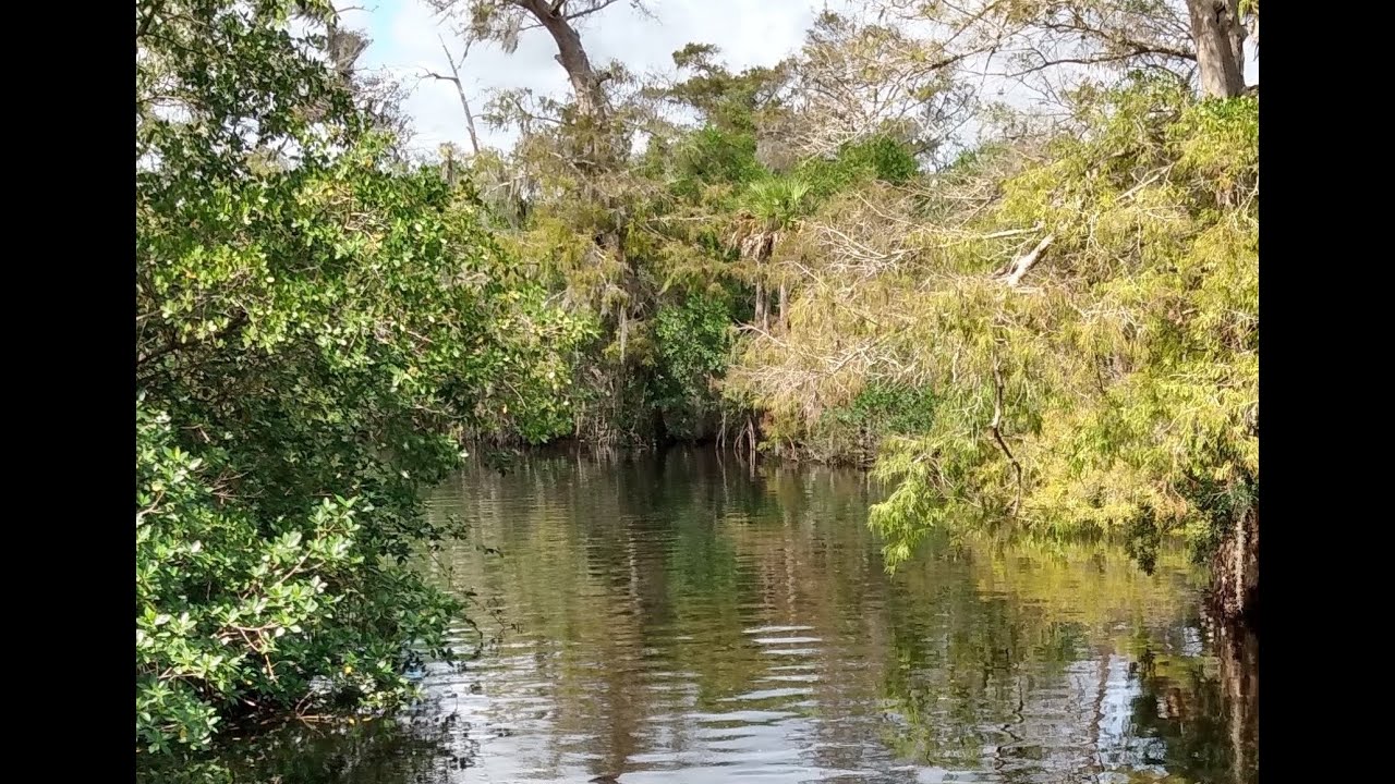 Canoeing Loxahatchee RiverKitching Creek in Jonathan Dickinson State