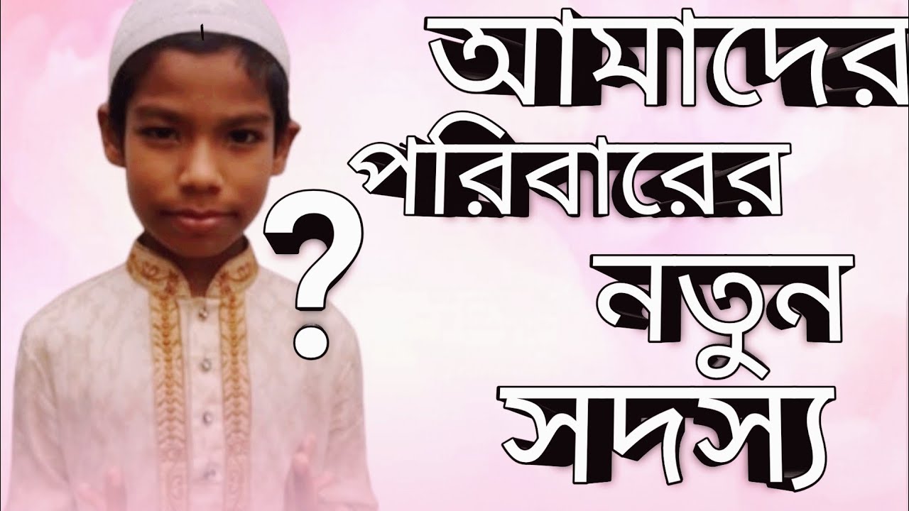  আমাদের পরিবারের নতুন সদস্য। New member of our family। Vlog 4।Saiful Bildidee 
