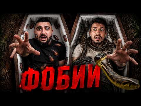 КОТ СМОТРИТ ПРОВЕРКА ФОБИЙ! Меня Закопали ЗАЖИВО В ГРОБУ! | РЕАКЦИЯ