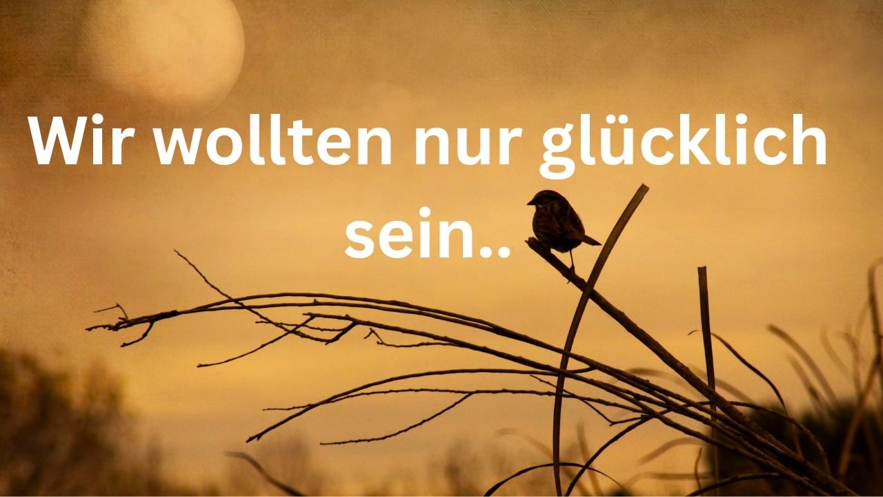 Ein Song über verlorene Träume & echten Druck- Wir wollten doch nur glücklich sein