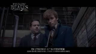 Fantastic Beast Trailer 1