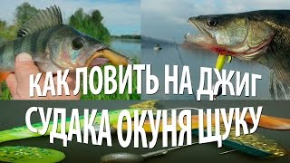 ЛОВЛЯ на ДЖИГ ЩУКИ, СУДАКА, ОКУНЯ. РЫБАЛКА на ОЗЕРЕ на СПИННИНГ(В видео, ловля на джиг окуня, судака, щуки на озере Сартай. Рыбалка на спиннинг в Литве, советы по ловле силик..., 2016-04-19T14:25:30.000Z)