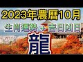 【古柏論命每月運勢 + 吉日凶日】2023年農曆十月(陽曆11/13 ~ 12/12)生肖運勢分享 -  龍