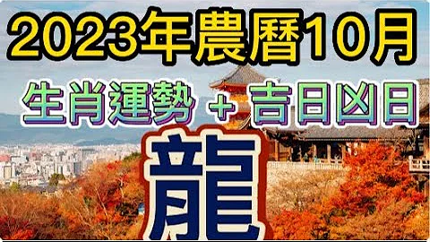 【古柏論命每月運勢 + 吉日凶日】2023年農曆十月(陽曆11/13 ~ 12/12)生肖運勢分享 -  龍 - 天天要聞