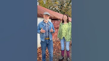 Vleermuisbeschermingsexpert Donna Mullen vertelt ons over de beste vleermuiskast #vleermuizen #be...