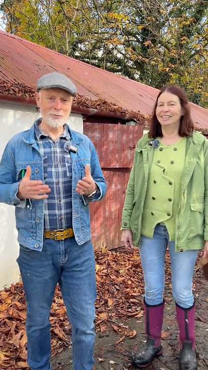 Bat Conservation Expert Donna Mullen Tells us about the Best Bat Box #bats #conservation