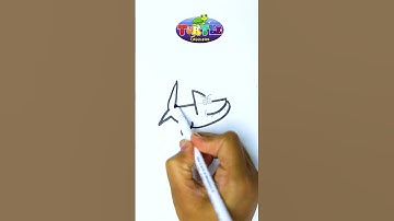 How to draw Shark drawing | how to draw a Shark for beginners | how to draw Shark