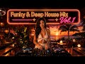 Funky &amp; Deep House Mix LIVE