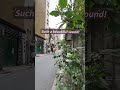 永康街👉 Listen Carefully… 🎧 Taipei Sounds Different Here