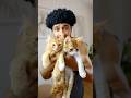 Cat Workout Full Body Cat Workout Full Body