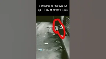Колдун отправил Джина к человеку #shorts