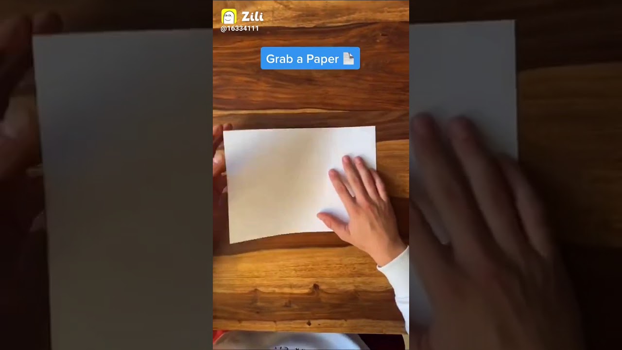 Easy Tutorial for bat Papaplane