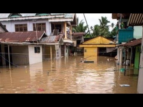 ⁣🐟 Los peces nadan a través de las casas mientras las inundaciones golpean Manado, Indonesia 🇮🇩