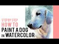 How To Paint a Watercolor Golden Retriever Dog Pet Portrait - Step by Step Tutorial