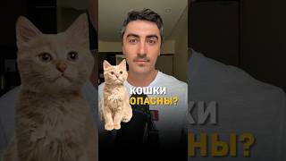 Вред от домашних питомцев