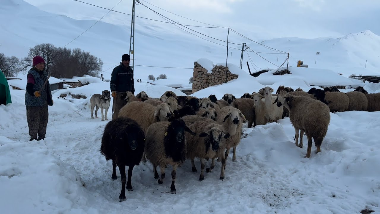 Türkiye’de Bir Köy Belgesel 4K