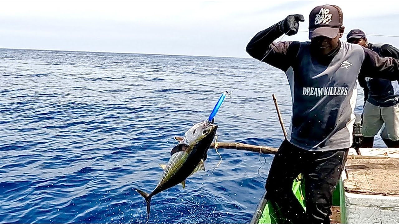 Catching Bonito Fish, Tuna Fish & Mahi Mahi Fish in the Sea YouTube