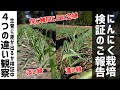 にんにく栽培の現状と検証している４つの進捗をご報告